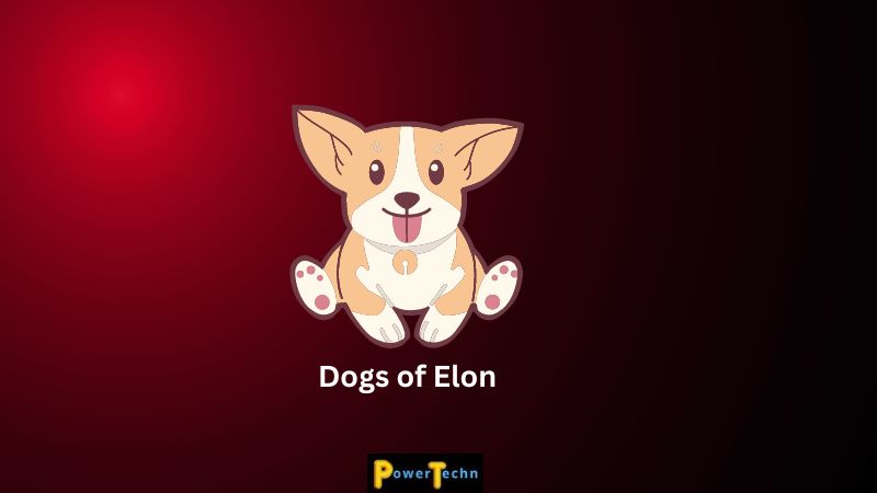 Best Meme Coins - Dogs of Elon